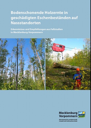 Titel Bodenschonende Holzernte in geschädigten Eschenbeständen auf Nassstandorten